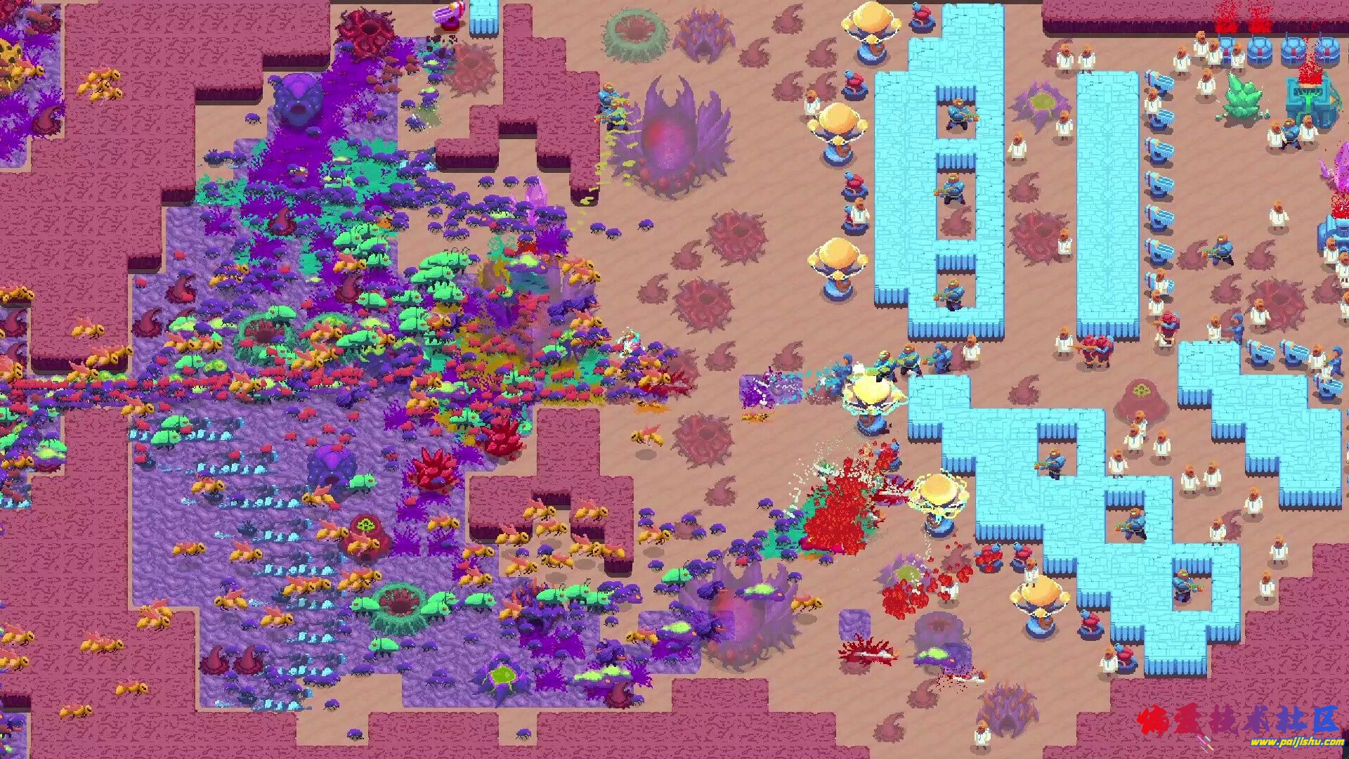 1000046687.jpg