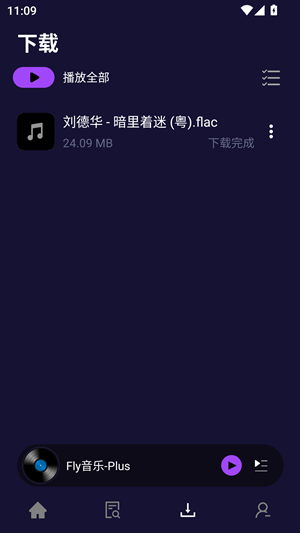 dsdgh02025.png